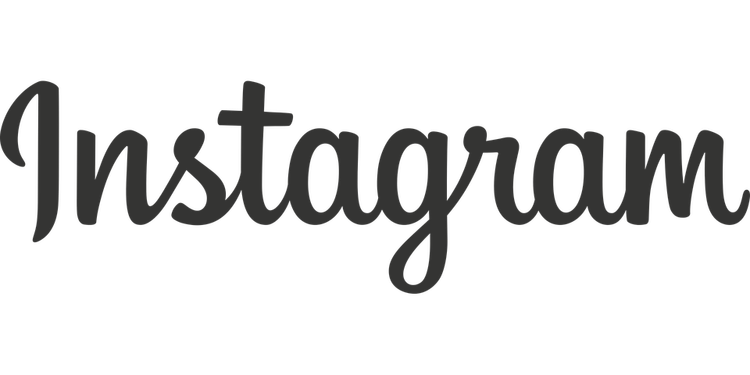 instagram log